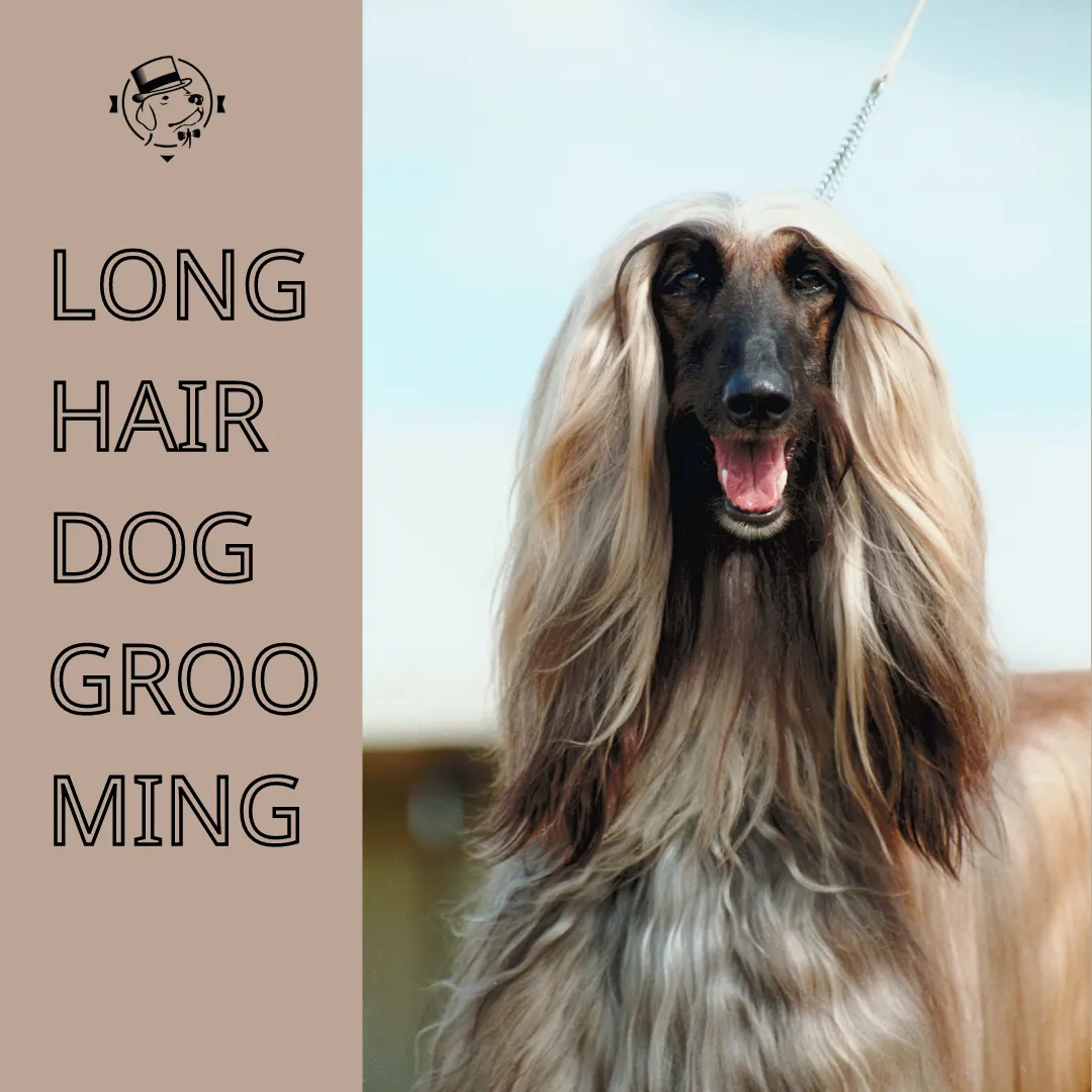 TOP DOG GROOMING PRODUCTS SET FOR LONG-HAIRED BREEDS