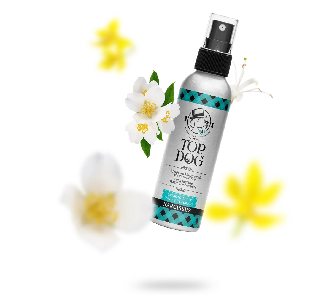 Narcissus Perfume Mix