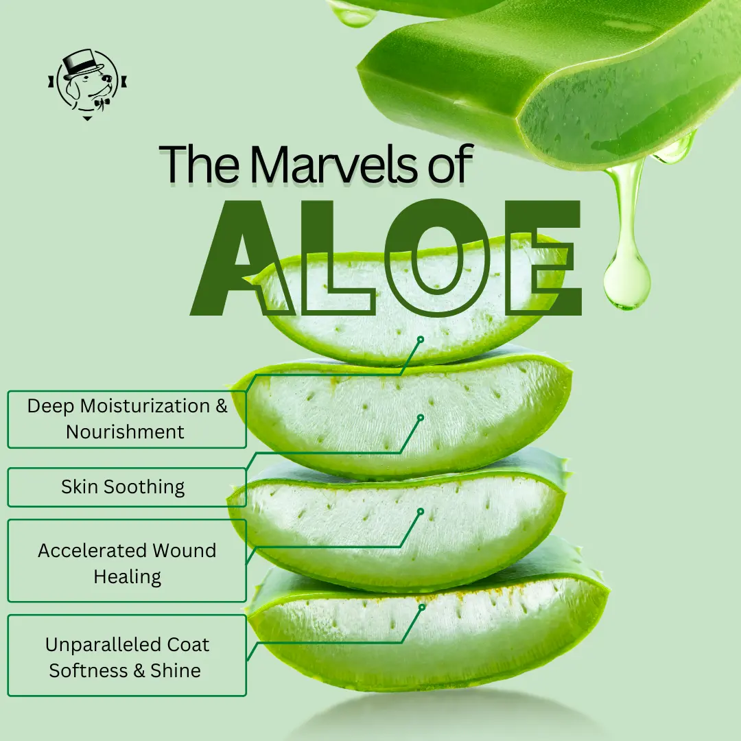 Aloe Vera Unveiled: Nature's Secret to Pet Grooming Bliss